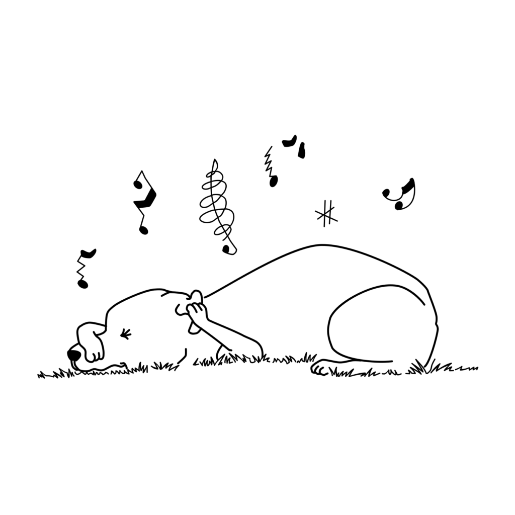 Awoo dog covering his ears