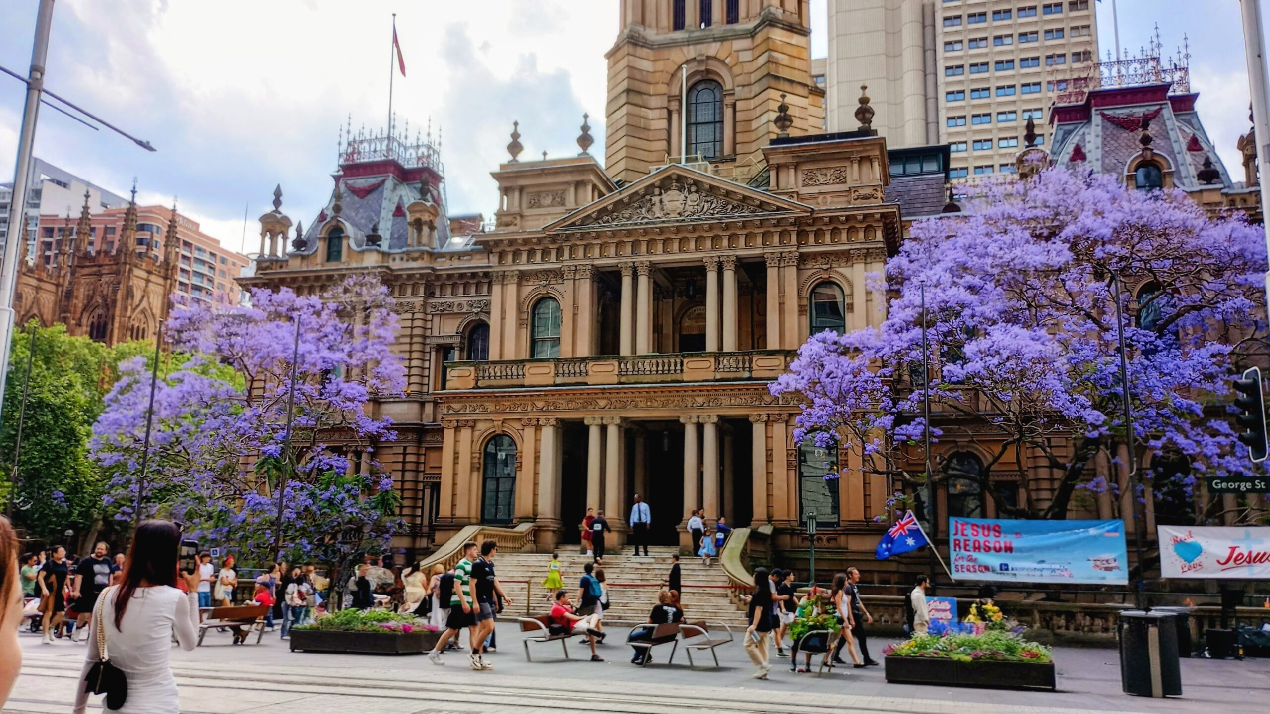 The season I stepped on flowers, ran into trees and walked with bees